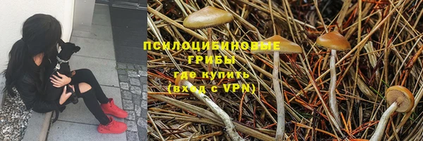 мяу мяу мука Зеленокумск